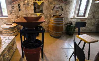 Wycieczka Szlakiem Cypryjskich Winnic - Sterna Winiarnia